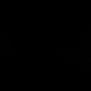 _franko29