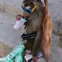 original sound - potaxy0