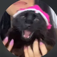 original sound - caquinho_cat