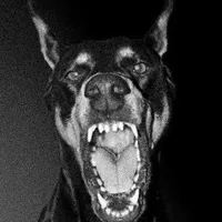 original sound - flam3._