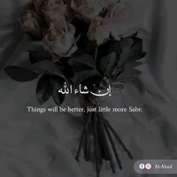 original sound - _halalvibes._