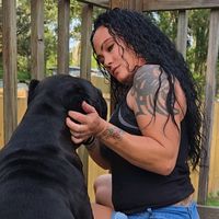 dynastyallstarcanecorso