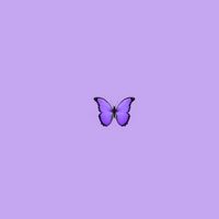 siaax.o
