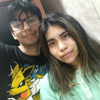 faradice