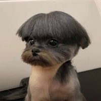 mexican tingz pls follow me