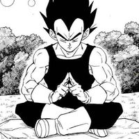 ilovevegeta690