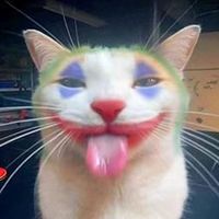 kipas.bedebuu