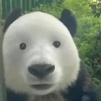 oh
