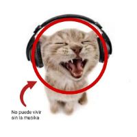 sonido original - lyrics