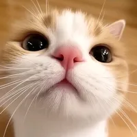 original sound - 8notaz