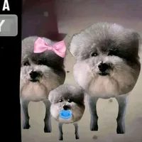 original sound - symxf1lmzx