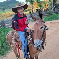 danielsilvarodrigues2