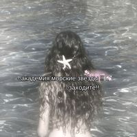 seastarofficial1111