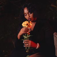 BASi Acoustic Version