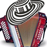 david.music48