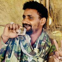 الصوت الأصلي