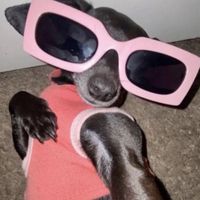 เสียงต้นฉบับ - เมืองจ๊อกจ๊อกพังแน่