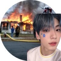 wa da da × cat and dog