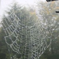 Matilda Soundtrack by David Newman