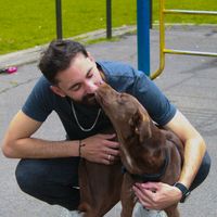 tresparesporcincomil