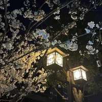 Кто снял под звук тот г й