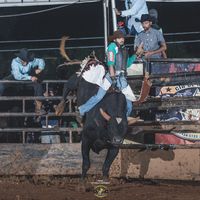 guilhermesa08