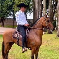 cavaloscarlosjr