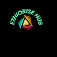 ethiorise_hub