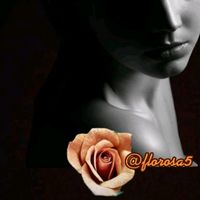 florosa5
