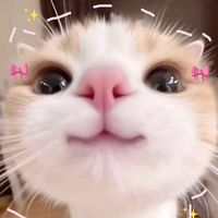 mellylouisi