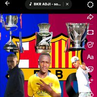 barsa.solo