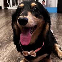 原聲 - 無力感來襲