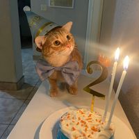 lasaventurasdesimonn