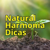 naturalharmoniadicas