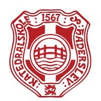 haderslevkatedralskole