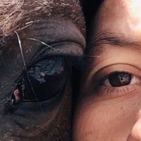 πρωτότυπος ήχος