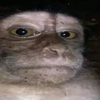 Смарагдове Небо x Mylancore