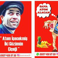 demiratommersin