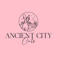 ancientcitycats