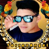 torrezangel272