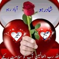 insp.amir4