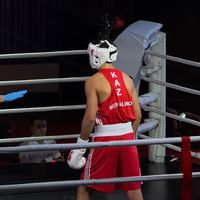 оригинальный звук