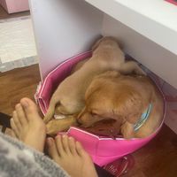 damon_helena_tiktokers