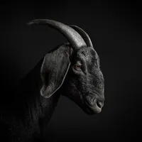 original sound - murdered_chargerrt