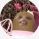 pink._yas_queen