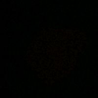 vinnyap_18