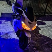 bricanu981