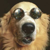 Chamber of Reflection Cover