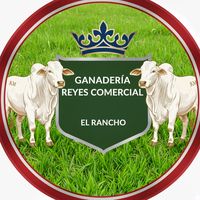 christianfernando314