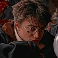harry_potter_fan1356